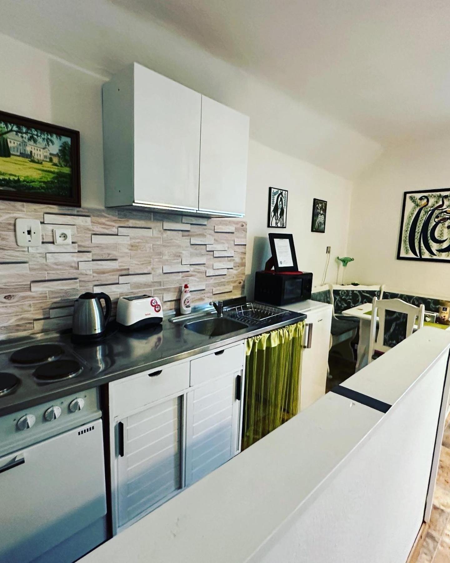 Apartmany Mk U Modre Kocky โนเว ฮราดี ภายนอก รูปภาพ